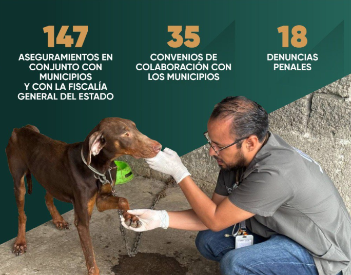 Pronto tendremos Bienestar Animal en Puebla