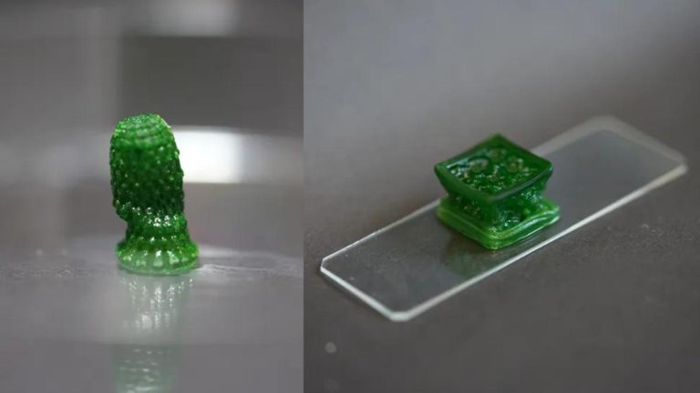 Lo nuevo en construcción, «Material fotosintético vivo»