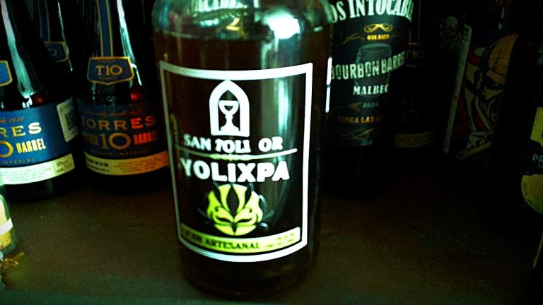 La medicina para el corazao: Yolixpa
